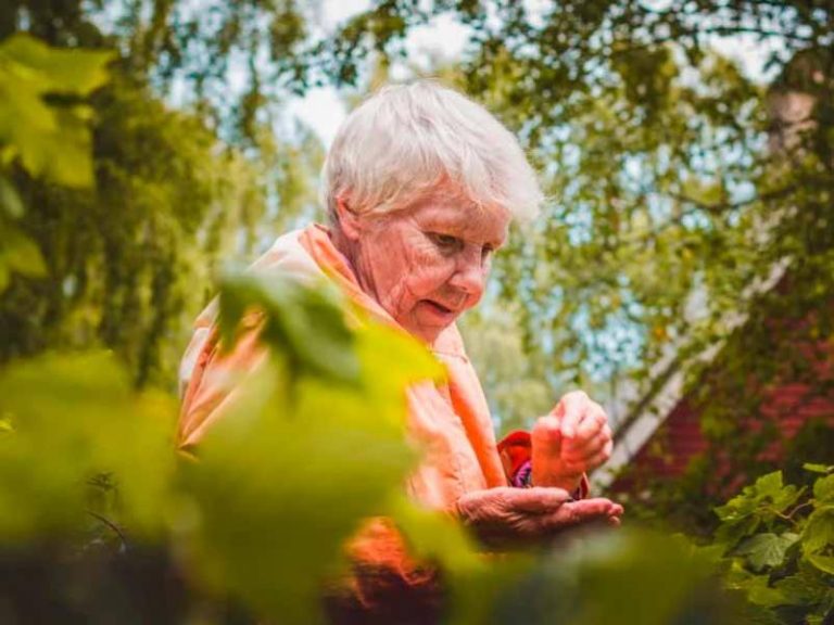 Деньги на Париж: 82-летняя жительница Днепра сорвала джекпот