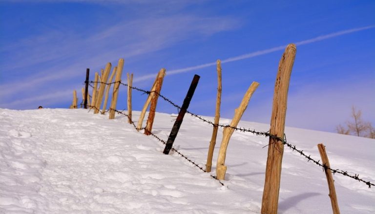 Букмекеров внесут в черный список