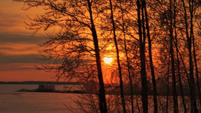 Фото: pixabay.com