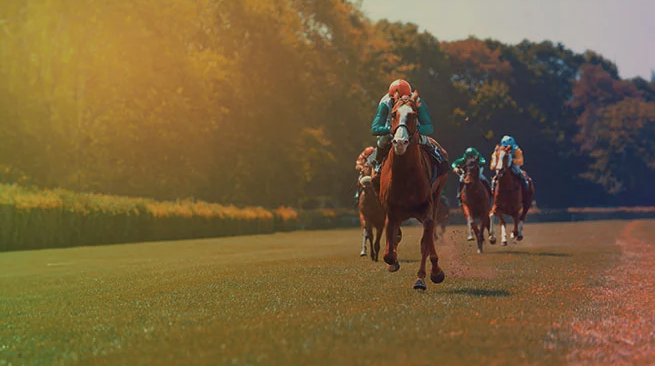 Racing Post собирается запустить новое шоу ставок с William Hill