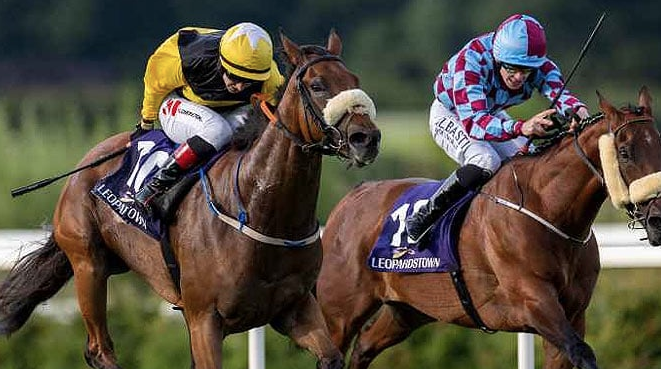 BoyleSports укрепляет связи с ирландскими автогонками благодаря партнерству с HRI