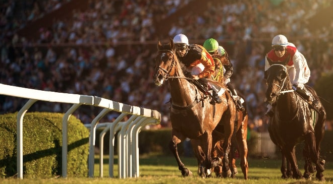Благотворительные организации получили пожертвование от гонки BGC Britannia Stakes